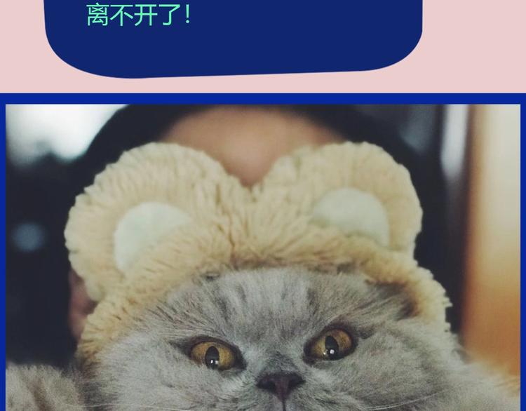 第50期  武学奇才桂大富-第50话