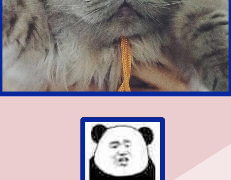 第50期  武学奇才桂大富-第50话