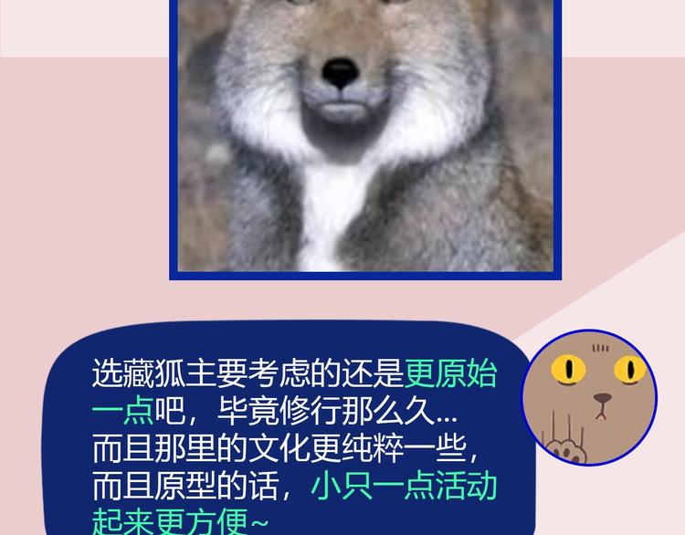 第50期  武学奇才桂大富-第50话