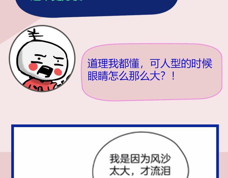 第50期  武学奇才桂大富-第50话