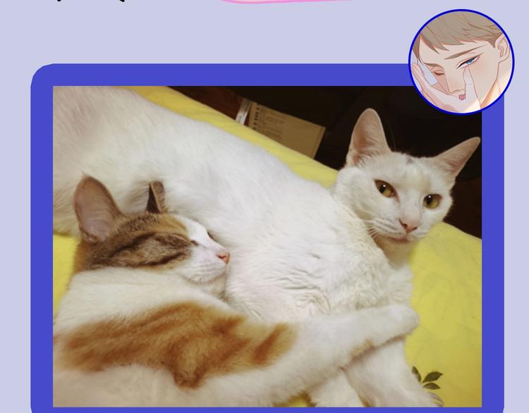 第54期  S-monkey猴-第54话