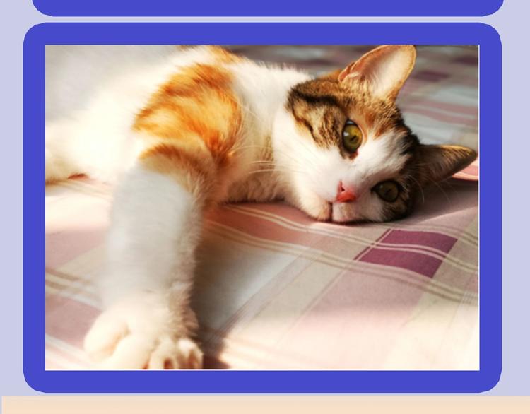 第54期  S-monkey猴-第54话