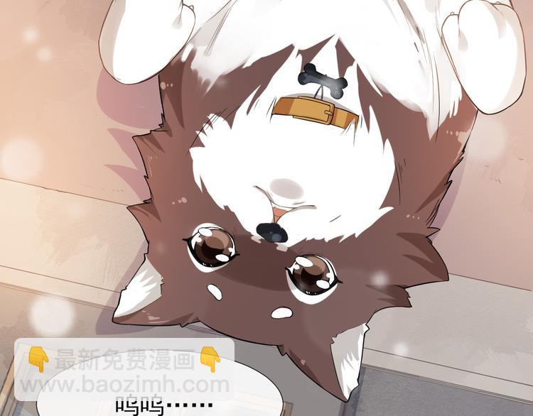 第11话 跟我回家见家长？(1/2)-第14话