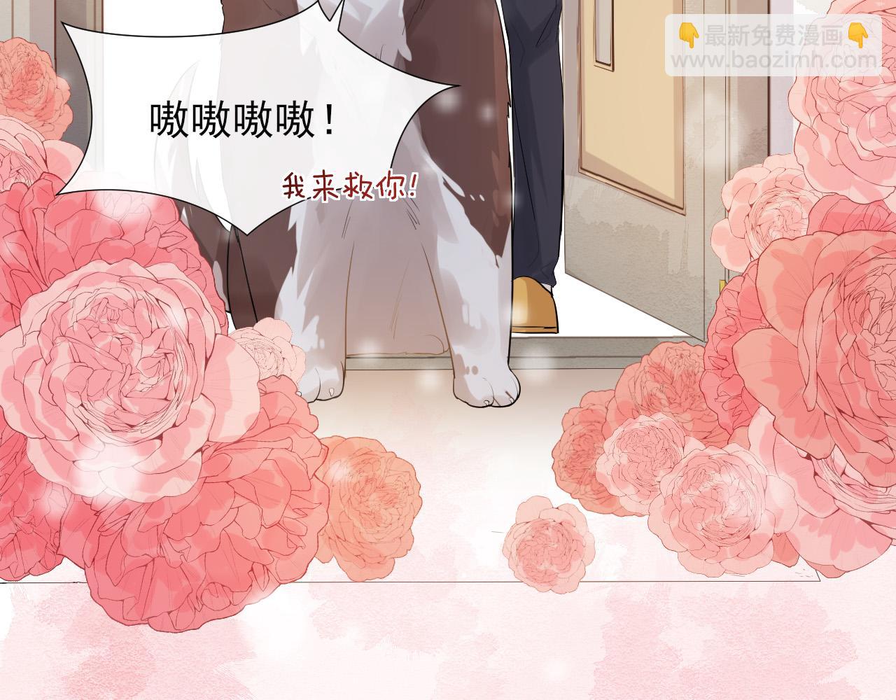 第17话 你的玫瑰(1/2)-第20话