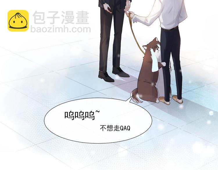 第3话 恋爱全靠狗努力(1/2)-第6话