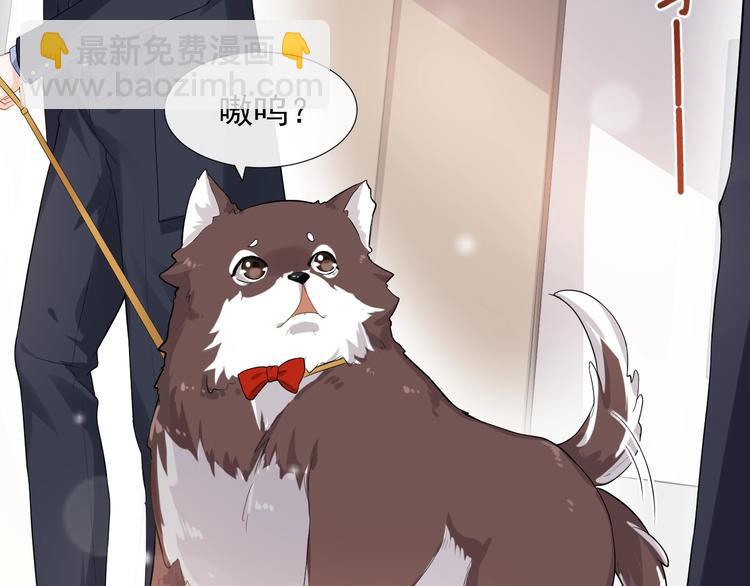 第3话 恋爱全靠狗努力(1/2)-第6话