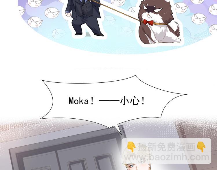 第3话 恋爱全靠狗努力(1/2)-第6话