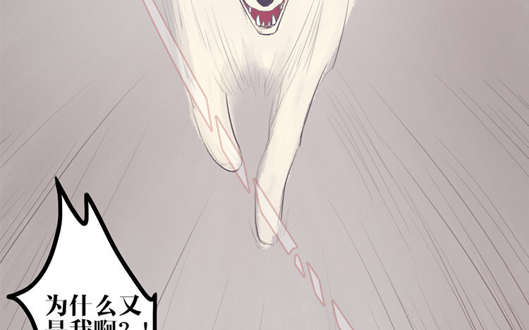 12 第11话 无妄之灾(1/2)-第12话