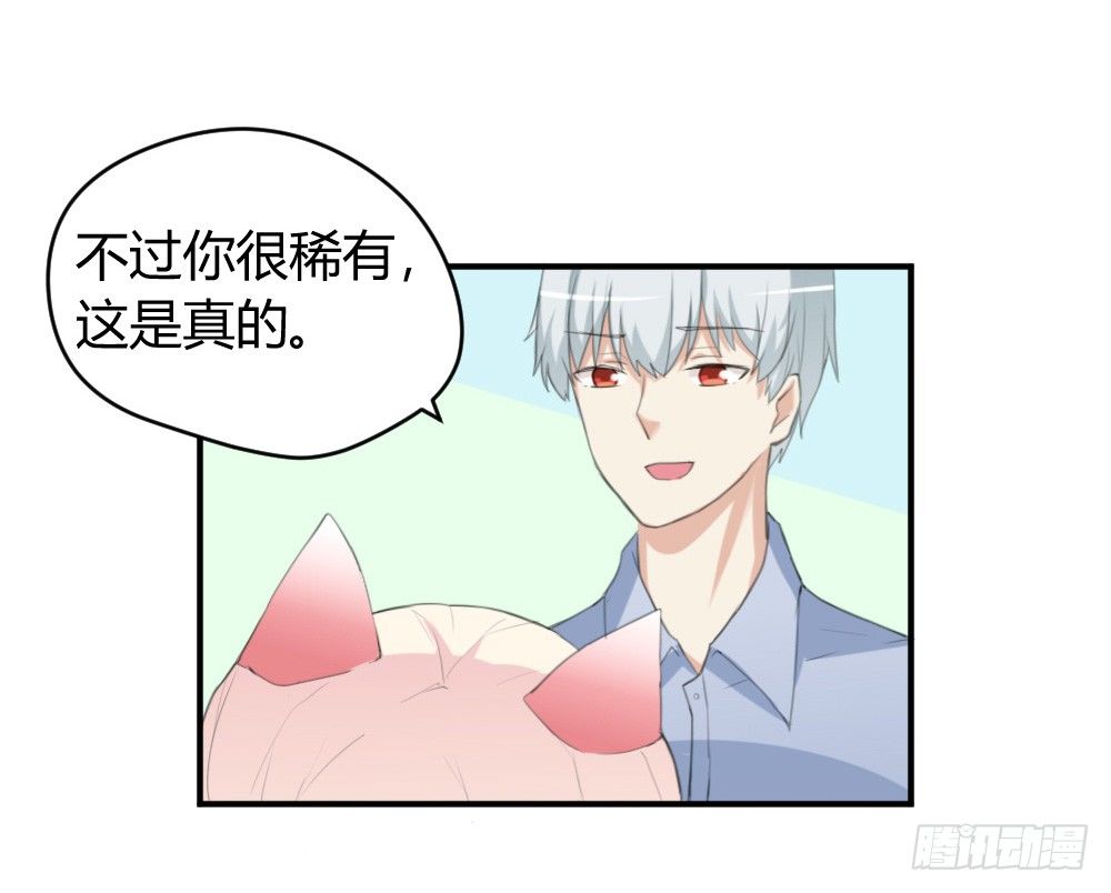 变成一只猪-第2话