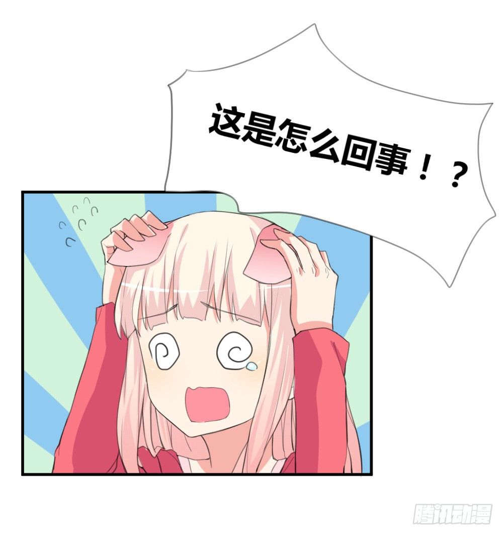 变成一只猪-第2话