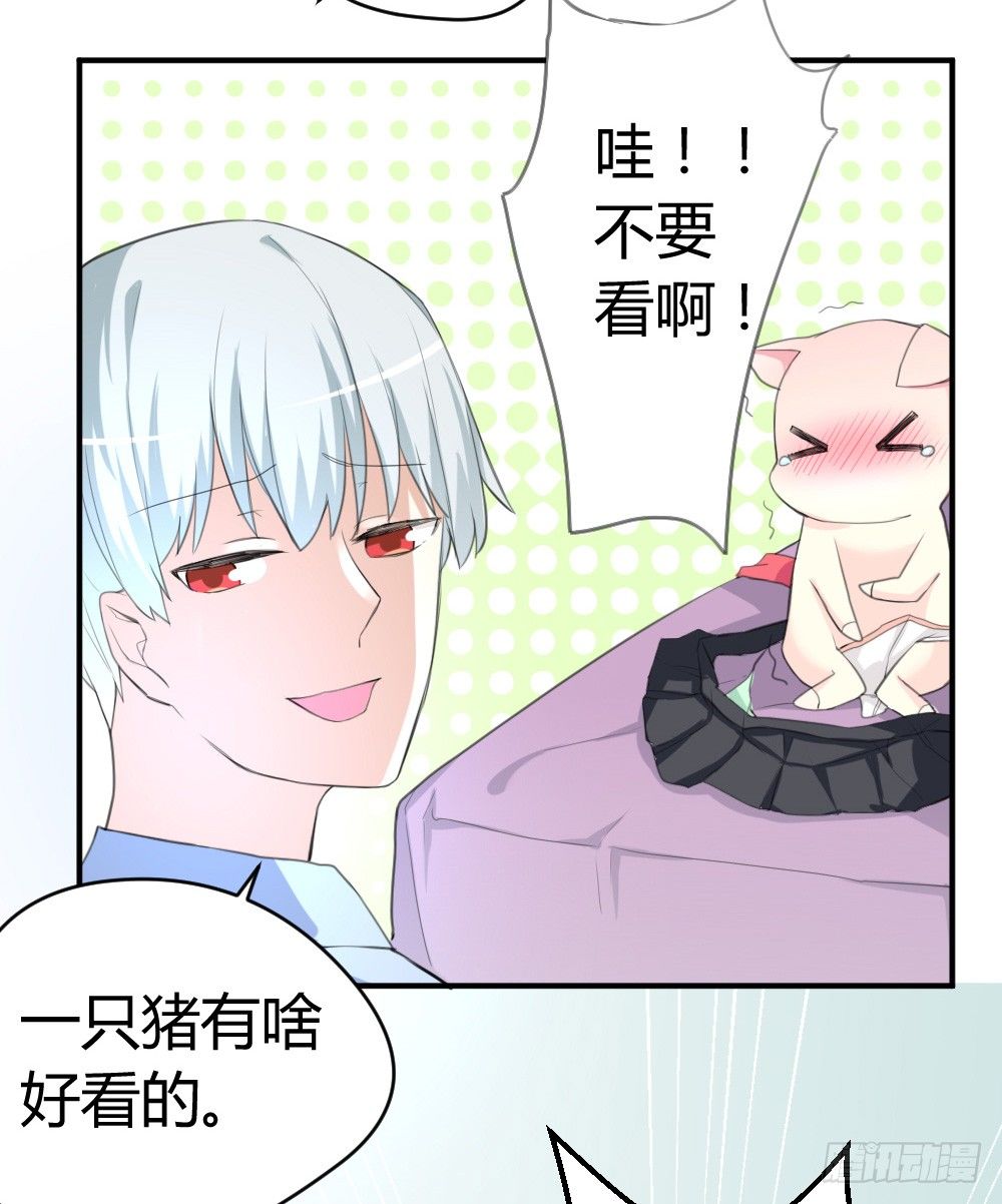 变成一只猪-第2话