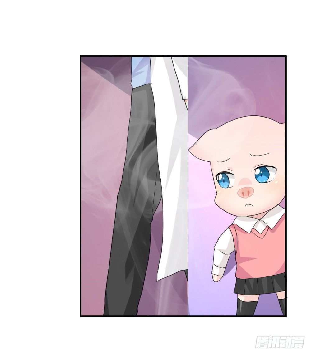 奇怪的猪猪画像（1）-第14话