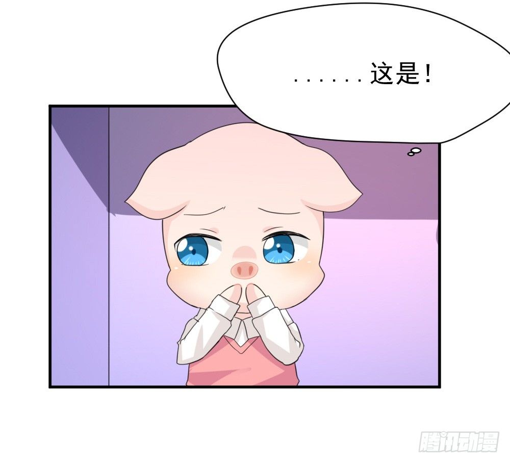 奇怪的猪猪画像（1）-第14话