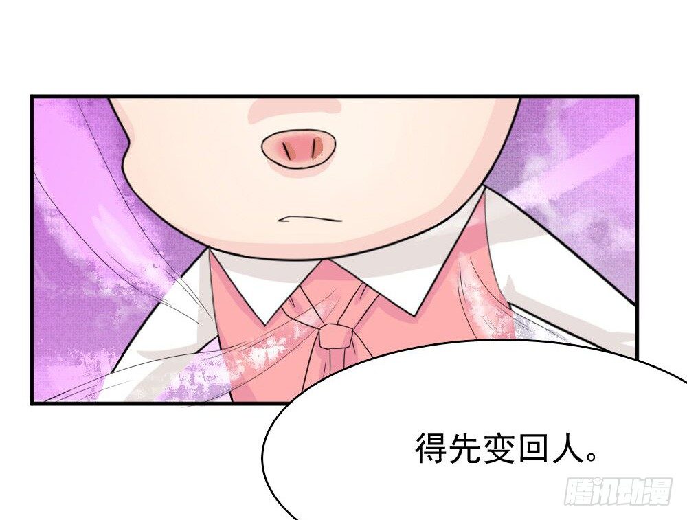 奇怪的猪猪画像（3）-第16话