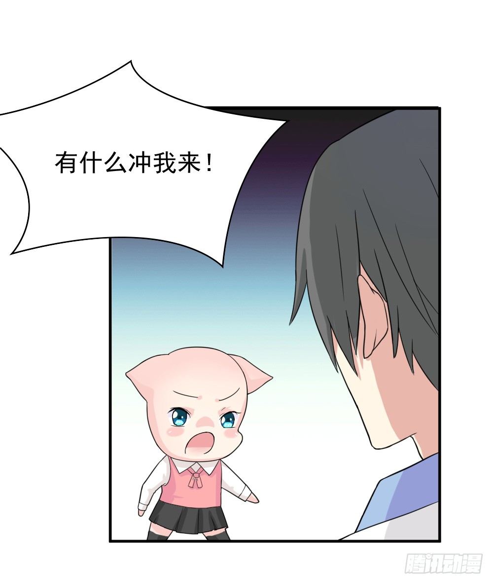 奇怪的猪猪画像（3）-第16话