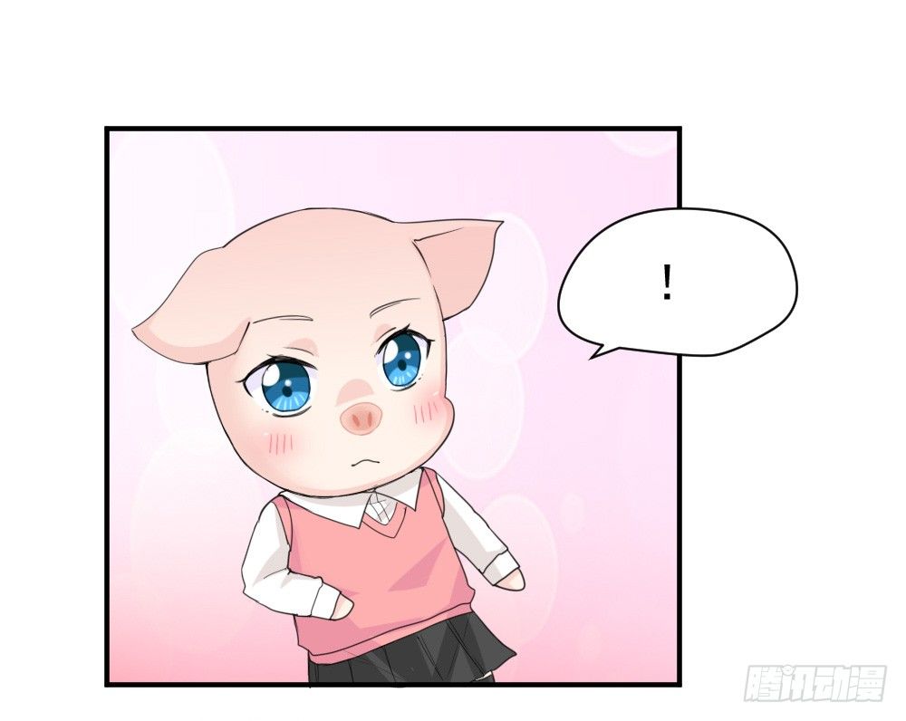 只能做猪猪-第10话