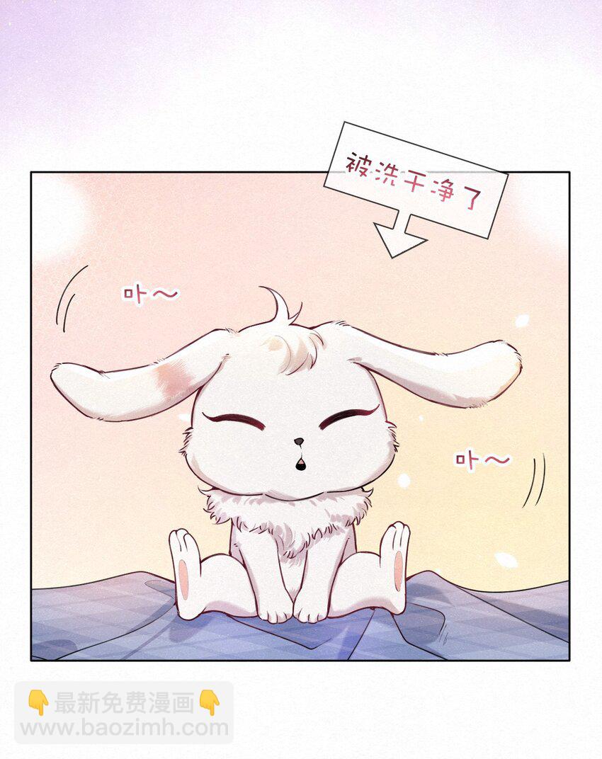 逐浪 - 新年番外 撿到一隻兔兔瀾~ - 5