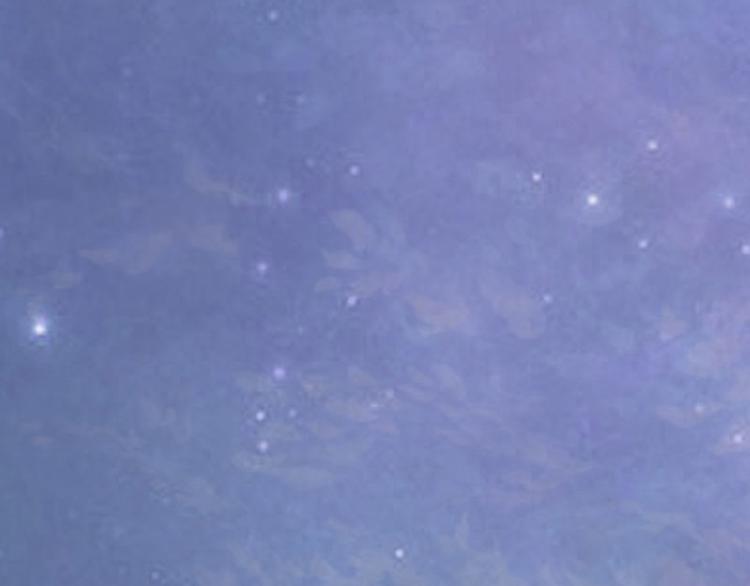 第4话 堕胎药(1/2)-第4话