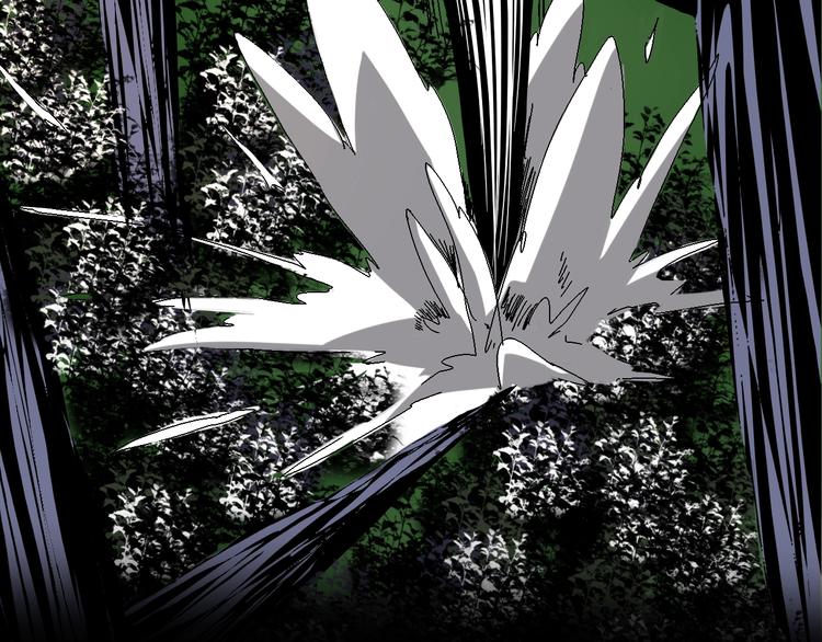 第7话  岛上的秘密(1/4)-第8话