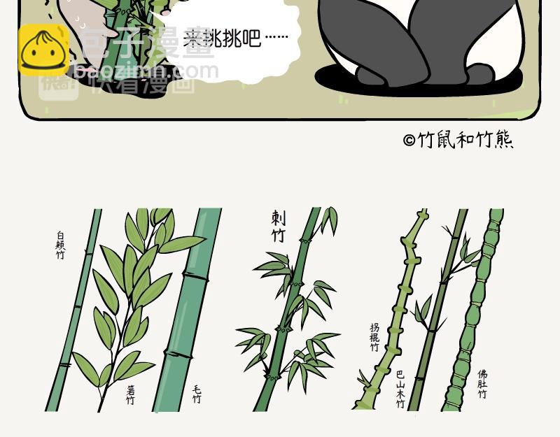 第12话 刺竹-第12话