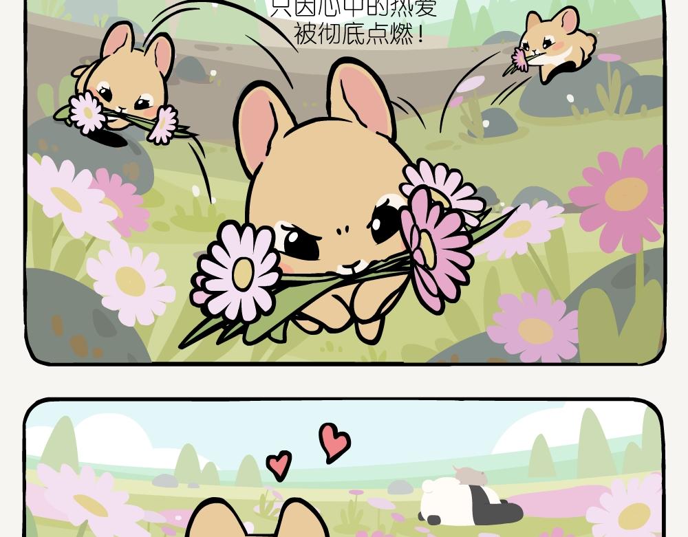 第14话 高原鼠兔-第14话