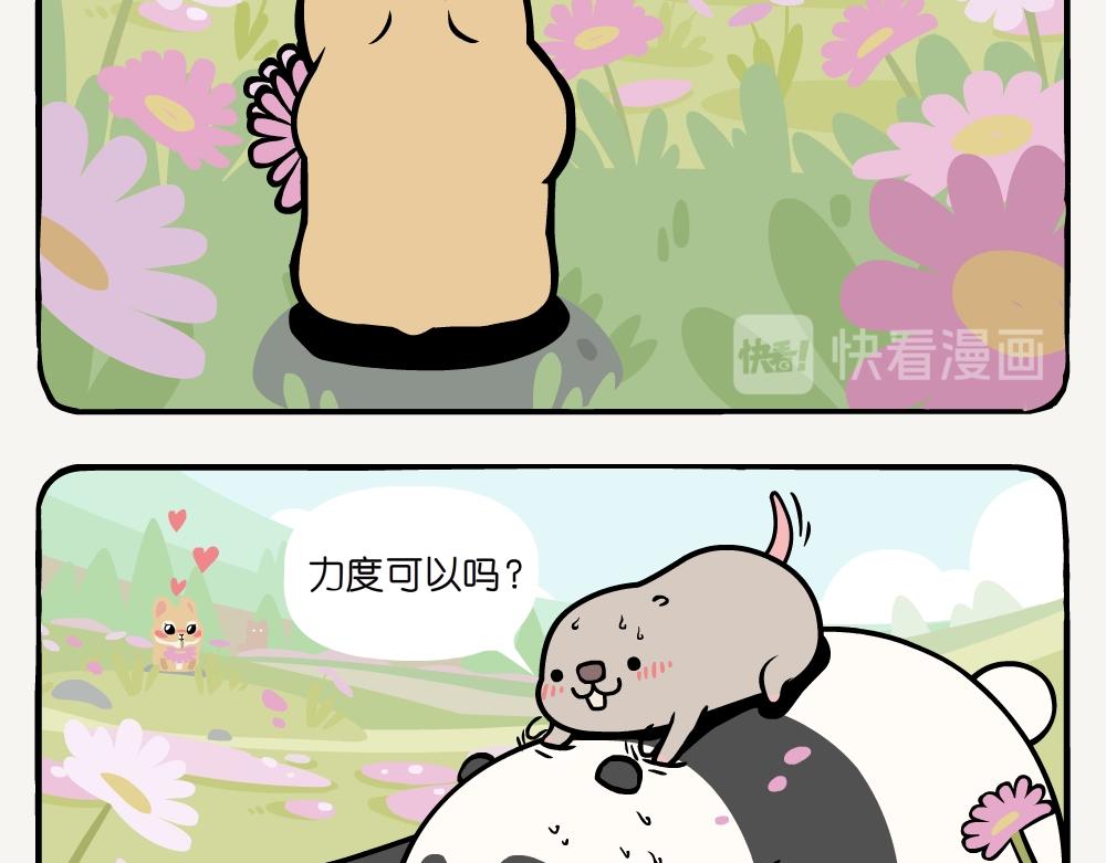 第14话 高原鼠兔-第14话