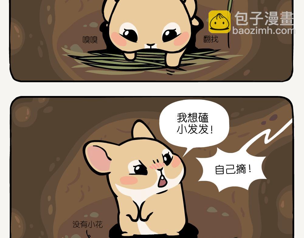 第14话 高原鼠兔-第14话