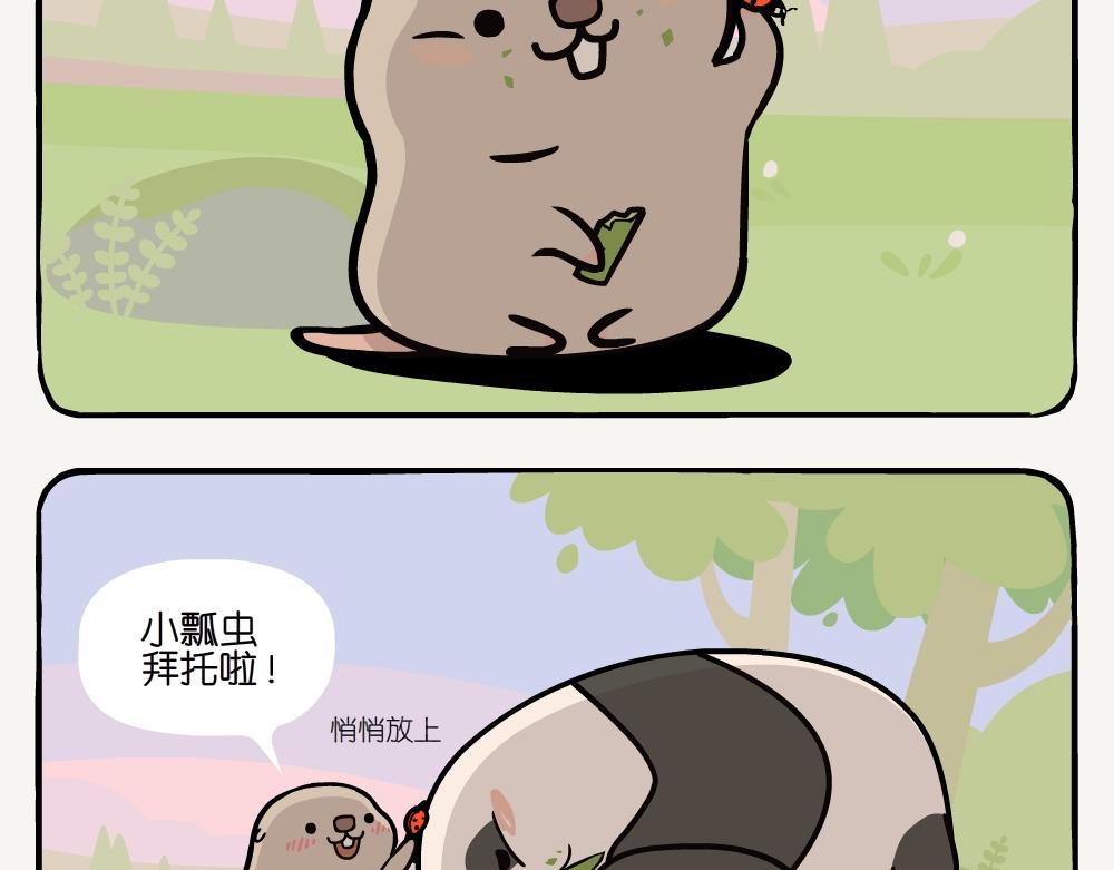 第16话 七星瓢虫-第16话