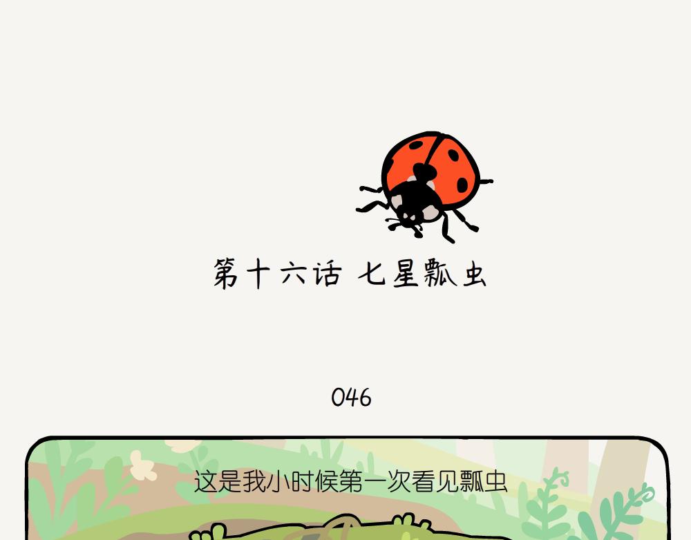 第16话 七星瓢虫-第16话