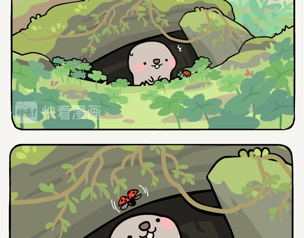 第16话 七星瓢虫-第16话