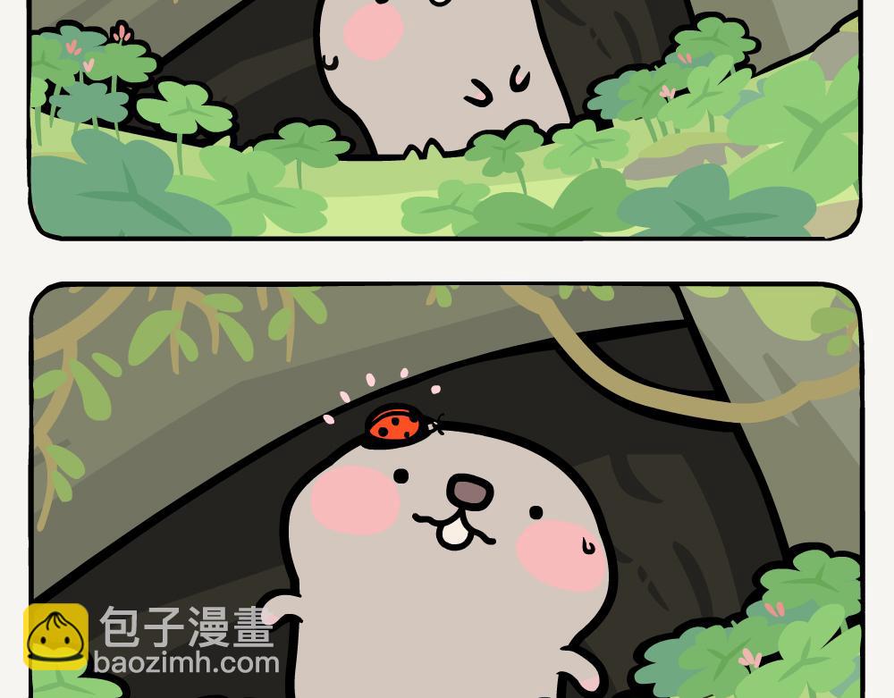 第16话 七星瓢虫-第16话