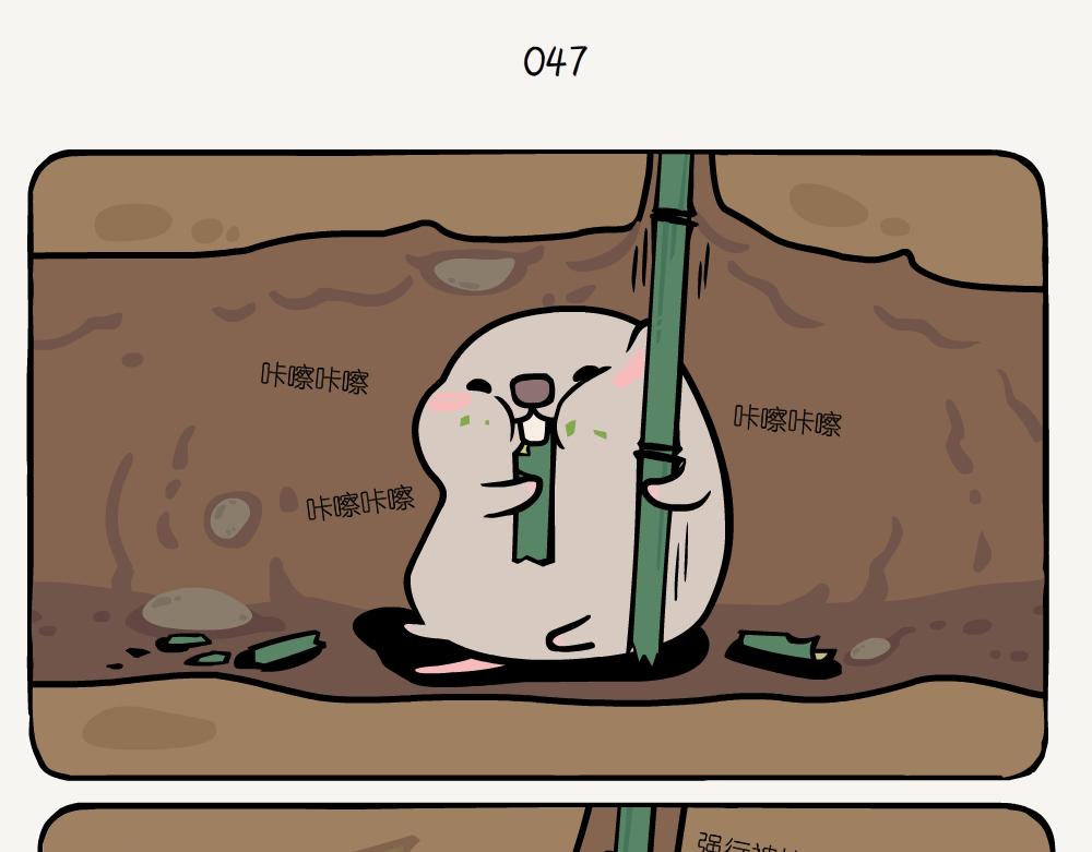 第16话 七星瓢虫-第16话