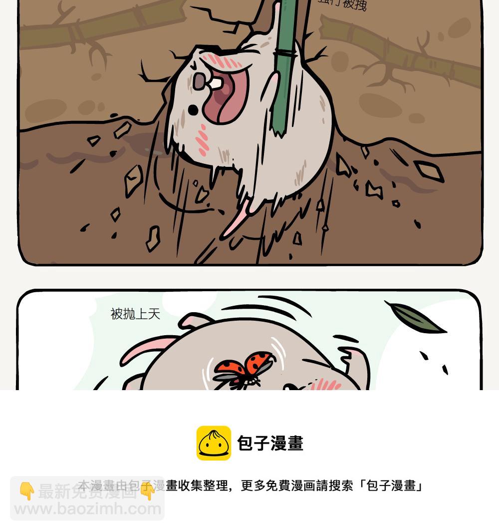 第16话 七星瓢虫-第16话