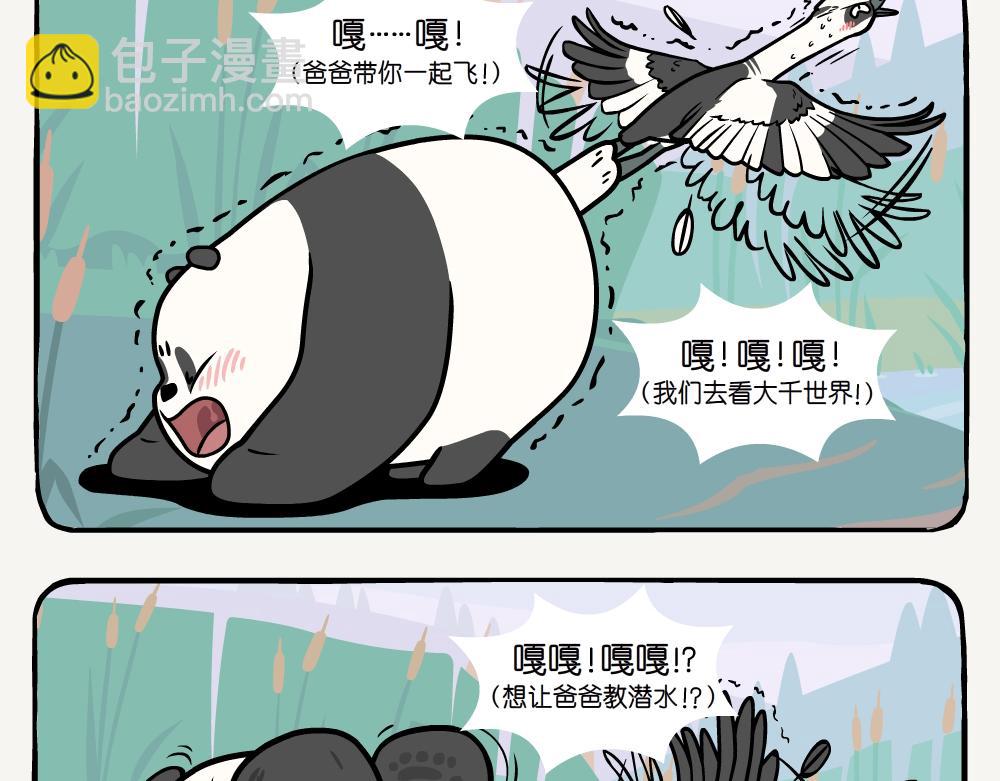 第20话 斑头秋沙鸭-第20话