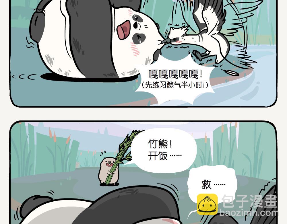 第20话 斑头秋沙鸭-第20话