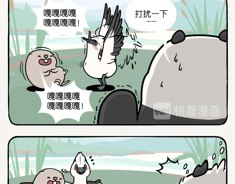 第20话 斑头秋沙鸭-第20话