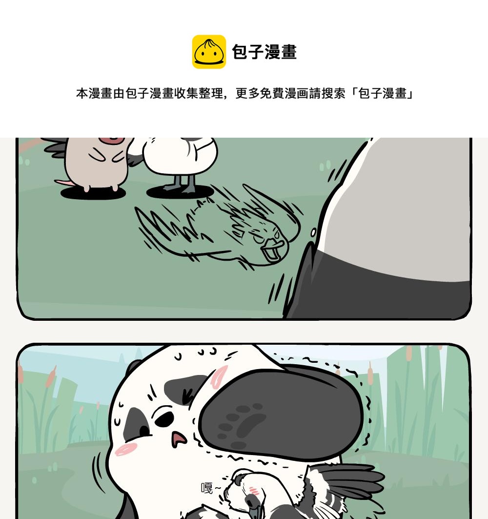 第20话 斑头秋沙鸭-第20话