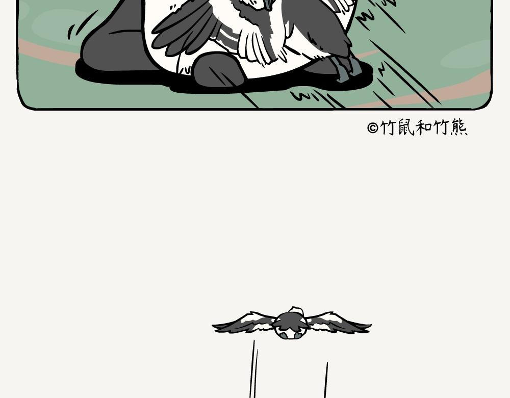 第20话 斑头秋沙鸭-第20话