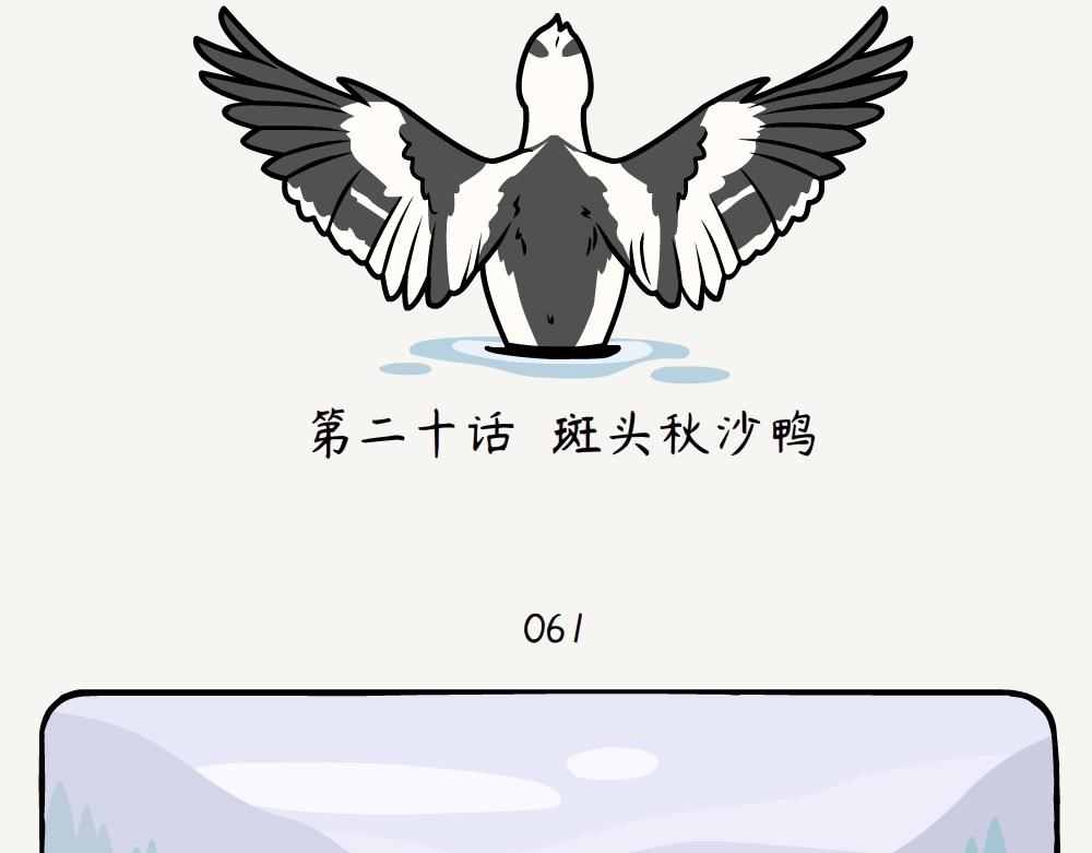 第20话 斑头秋沙鸭-第20话