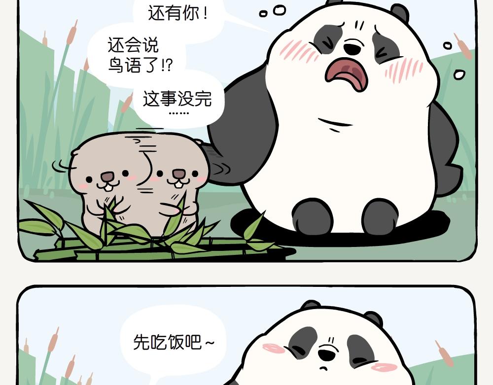 第20话 斑头秋沙鸭-第20话