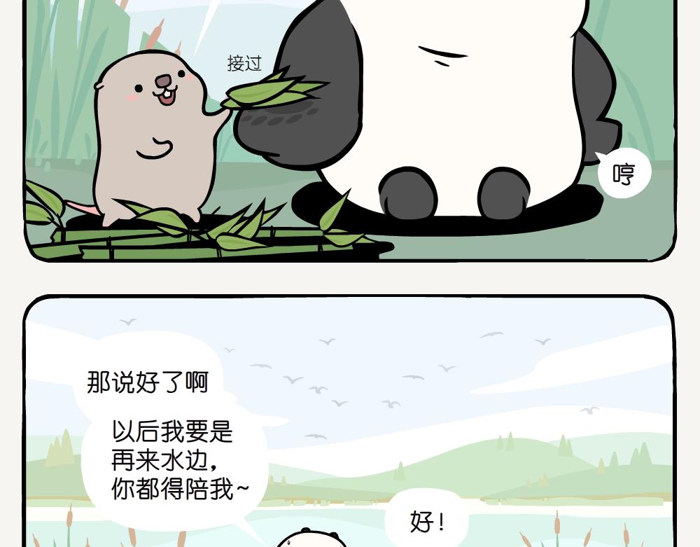 第20话 斑头秋沙鸭-第20话