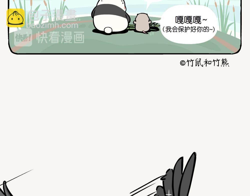 第20话 斑头秋沙鸭-第20话