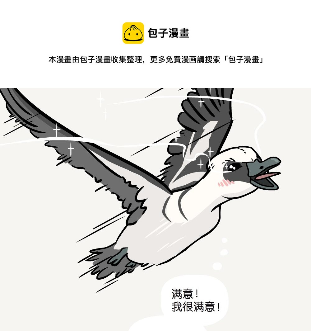 第20话 斑头秋沙鸭-第20话