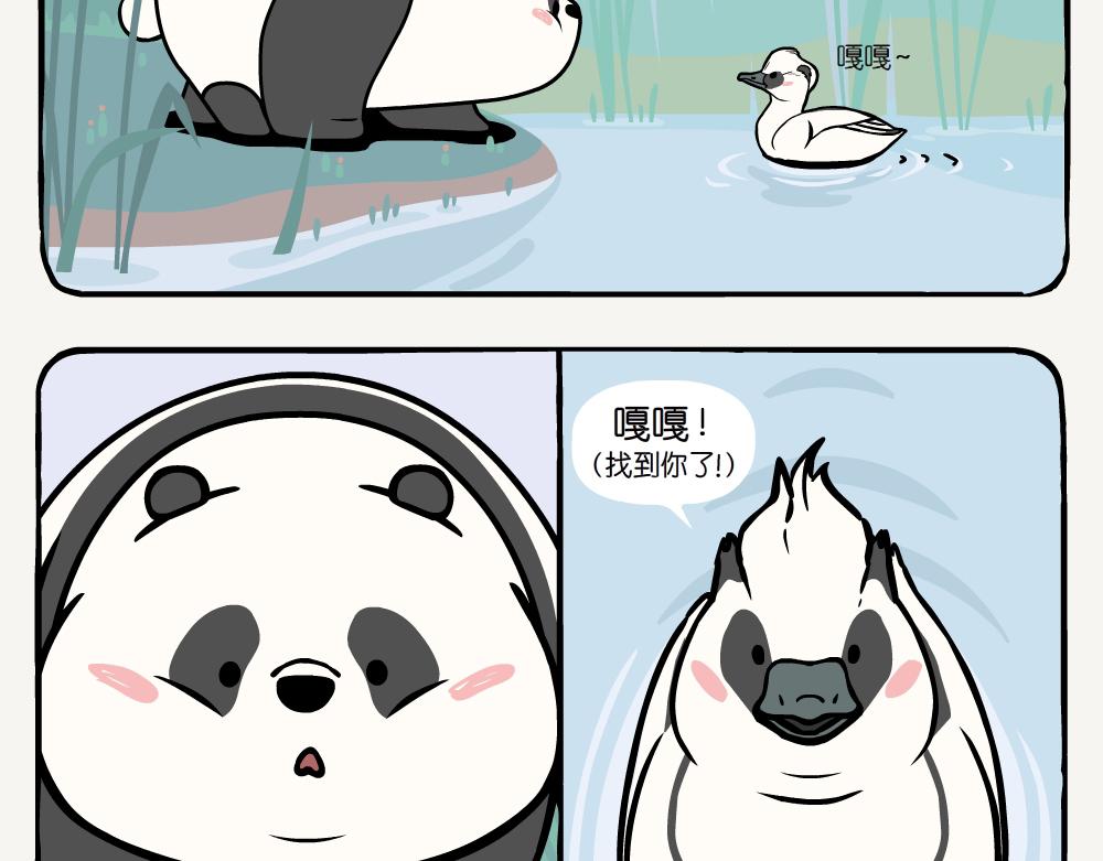 第20话 斑头秋沙鸭-第20话