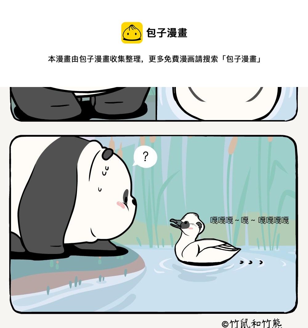 第20话 斑头秋沙鸭-第20话