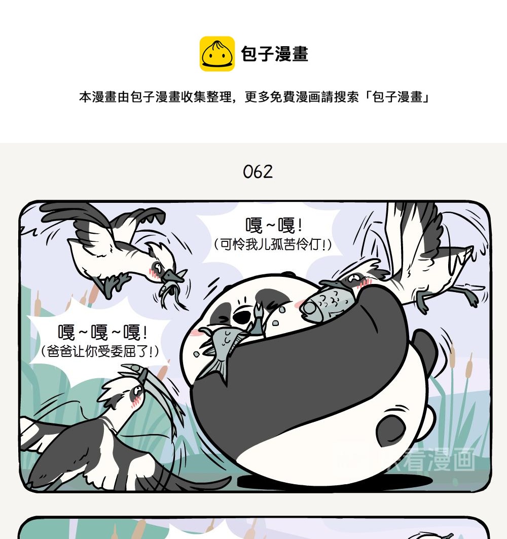 第20话 斑头秋沙鸭-第20话