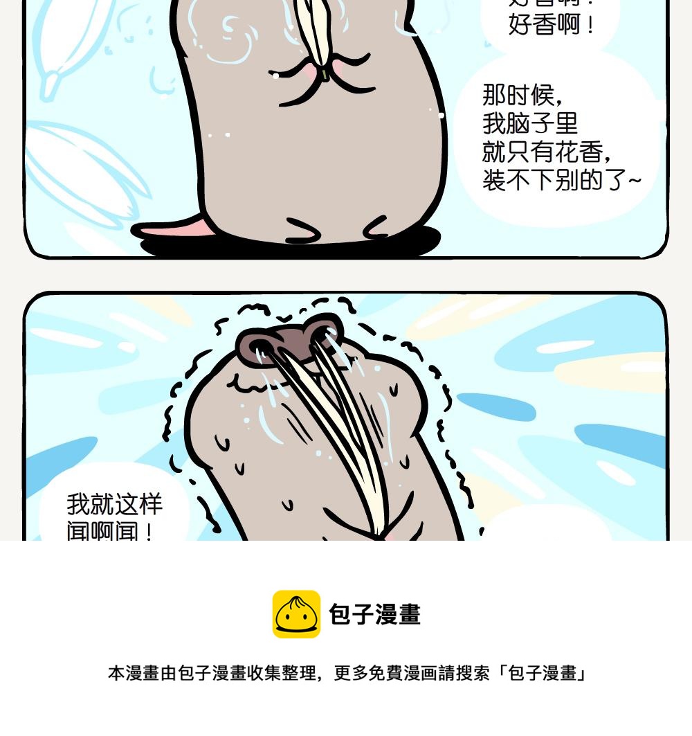 第24话 白兰-第24话