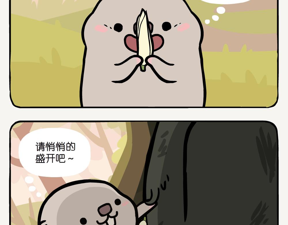 第24话 白兰-第24话