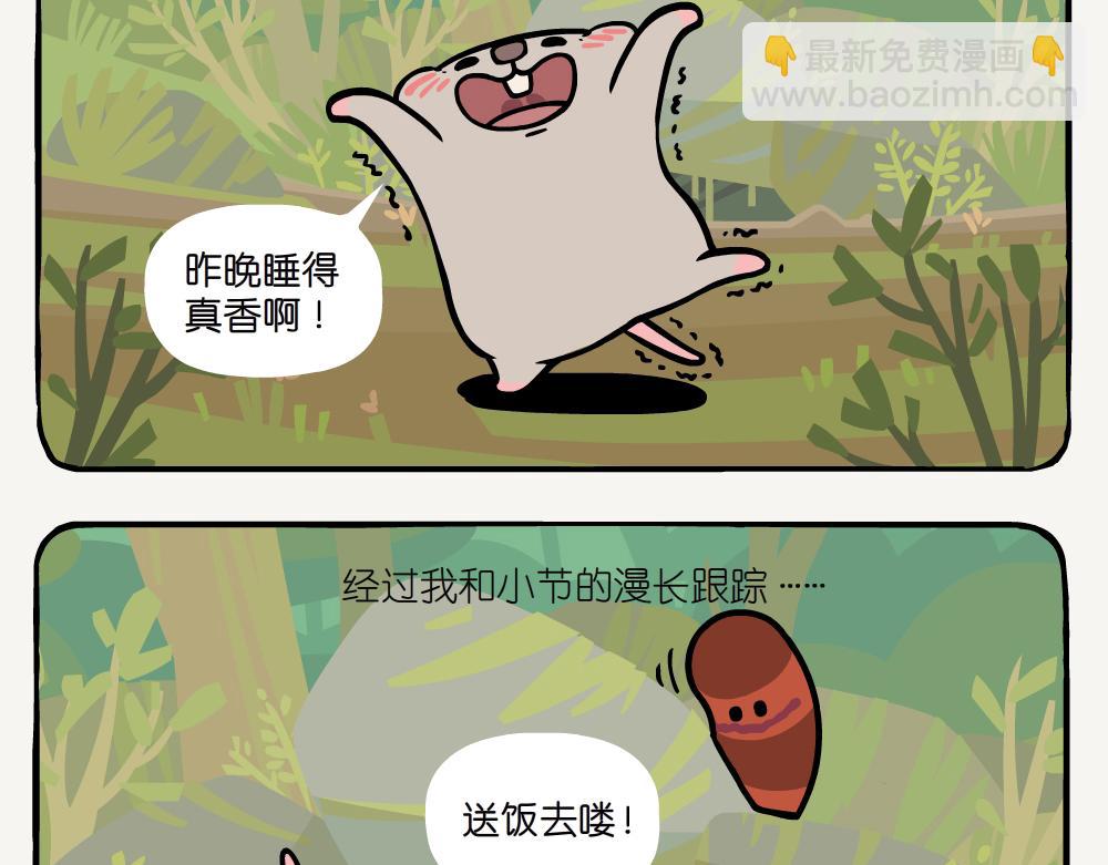 第30话 参环毛蚓-第30话