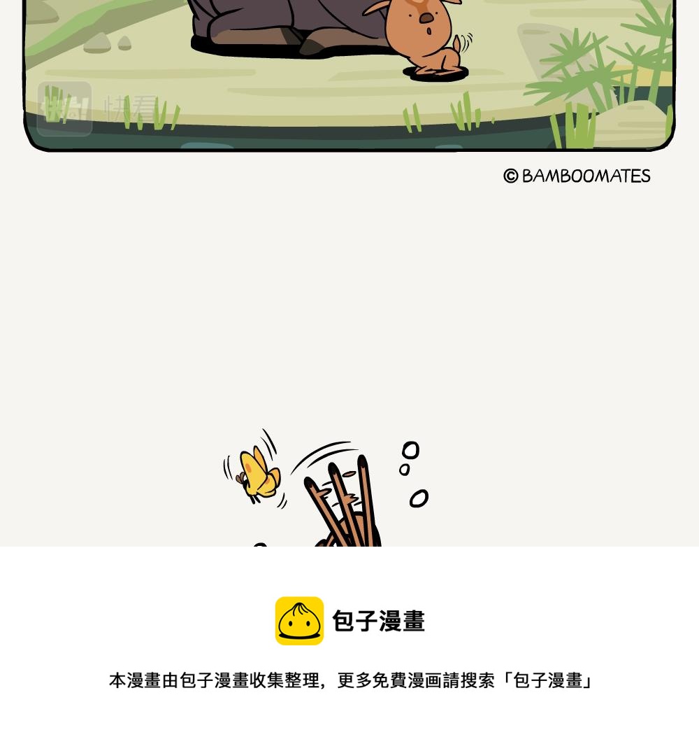 第32话 黄豹大蚕蛾-第32话